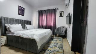 the luxury Apartment - 2