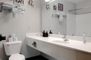 Pet-friendly Canal Park Condonear Lakewalk Pool - Duluth - 5