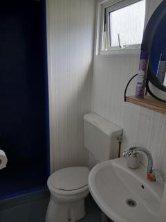 Chalet Bosgeluk - close to the woods - Anloo - 3