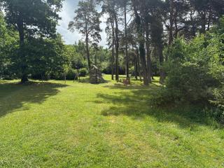 Chalets dans les bois - - 2