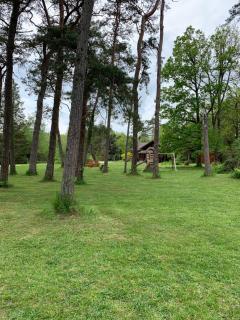Chalets dans les bois - - 5