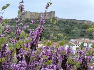 Casa Pradillo - 7