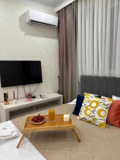 Aquarelle Central Apartments - Almaty - 1