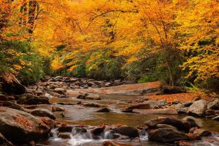 Dog Friendly, Quiet Chalet, Hot Tub, Fireplace - Sevierville - 5