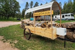 Glamping in Nature Near Mt Rushmore - 1