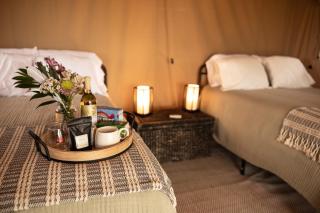 Boutique Vineyard Stay at Painted Prairie - 5