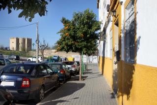 Apartamento Mirando a la Mezquita - Córdoba - 1