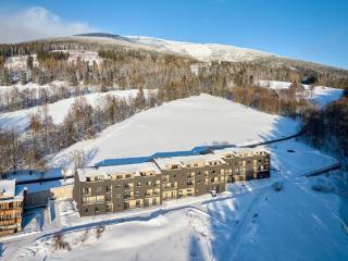 Apartmán Dubový důl - Černý Dŭl - 9
