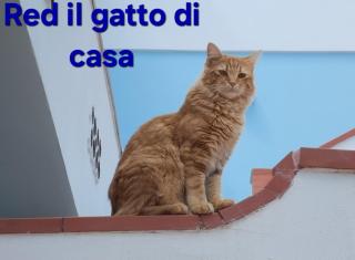 Sicilia Meraviglia B&B - Fontane Bianche - 4