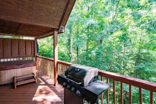 Renovated Lux Cabin - Hot Tub Pool Views - 5
