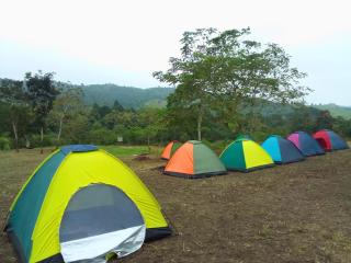 Camping El Cedro - Santa Elena - 0