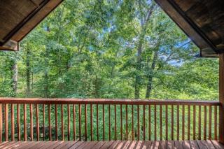 Renovated Lux Cabin - Hot Tub Pool Views - 1