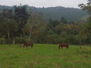 Camping El Cedro - 4