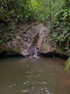 Camping El Cedro - Santa Elena - 3