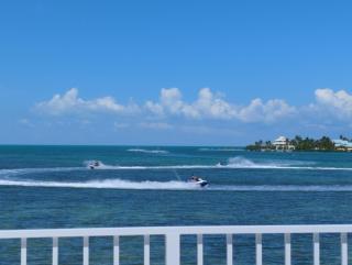 Ocean Dream - 7