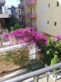 Vila Dhipali - 1