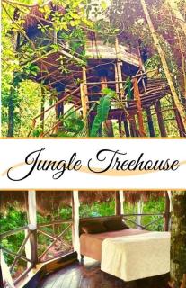 Exclusive Treehouse and Cenote - Sweet Jungle Dreams - 0