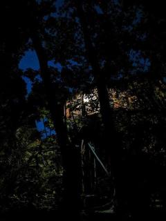 Exclusive Treehouse and Cenote - Sweet Jungle Dreams - 4
