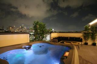 Houston Skyline View w Jacuzzi, 5 mins to DT - Houston - 8