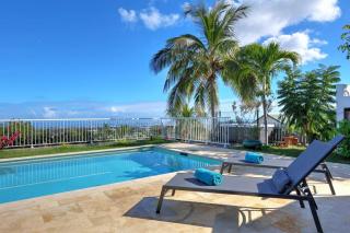 Villa Tima - Luxe Tropical avec Piscine Jacuzzi Sauna et Vue Panoramique - La Possession - 3