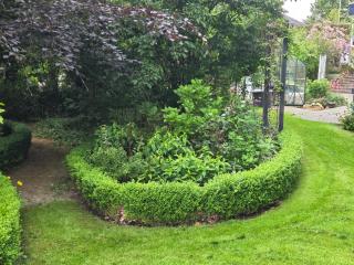 Oasen - hyggelig lejlighed - 5