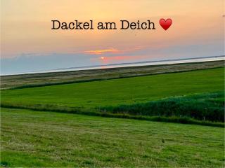 Ferienhaus Dackel am Deich - strandnah - eingezäunter Garten - Ruhe - Dornum - 0