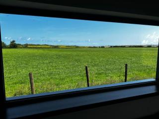 Springvale Lodge - 8