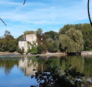 Chambre Douceur Angevine - Lézigné - 6