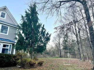 Country home with rock climbing gym, pond and creek - New Paltz - 8