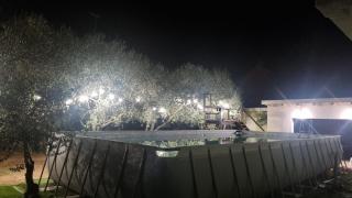 Green House - 1