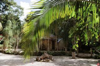 Sweet Jungle Dreams - Exclusive Treehouse and Cenote - 1
