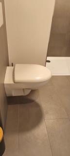 Ferienwohnung - Wangen im Allgäu - 1