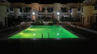 Estudio Delfines 4 - 7