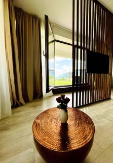 Loft with garden city view and garage - Braşov - 9
