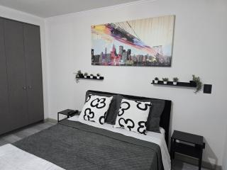 Moderno apartamento full equipado, estacionamiento privado y cercano al metro - Santiago - 2