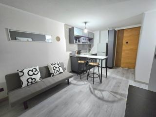 Moderno apartamento full equipado, estacionamiento privado y cercano al metro - Santiago - 3
