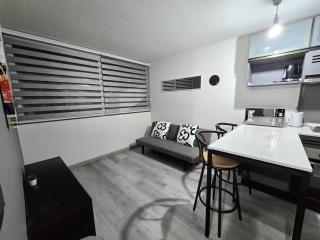 Moderno apartamento full equipado, estacionamiento privado y cercano al metro - Santiago - 4