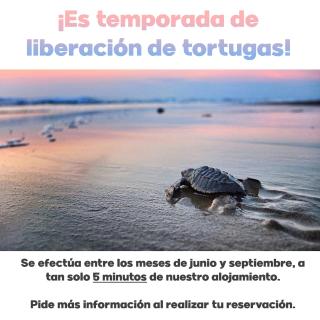 Casa a pie de playa - Paraíso de Sol - 4