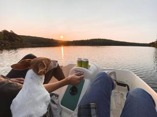 renovatedhot tublake accesspedal boatcozychic - 7