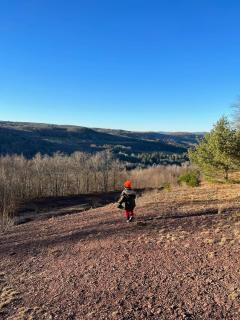 Chic Renovated 'treehouse' With Hot Tub & Fire Pit - 4