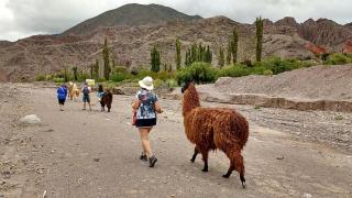 la casa de las Llamas - 2