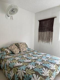 apulo jacana del lago - 5