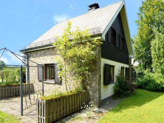 Cozy Forest Chalet in Ovifat - Ovifat - 1