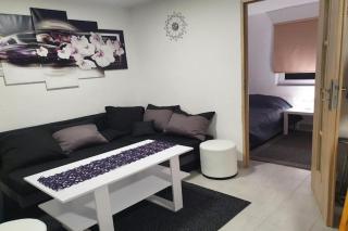 Holiday home, 3 bedrooms, fishing pond, sauna - 5