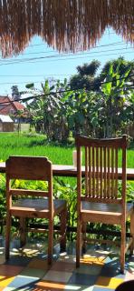 Jungle Hideaway Villas Unit 3 - River View - Ubud - 9