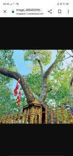 Impress Holiday Home - Anuradhapura - 7