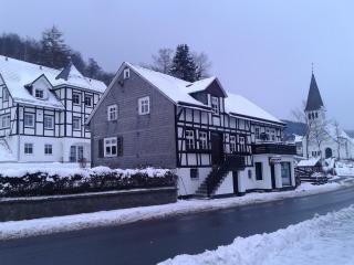 Gruppenferienhaus im Hochsauerland - 0