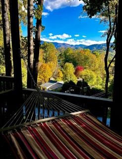 Walk to Main St, Pets OK, Close to Shops, Hiking - 3