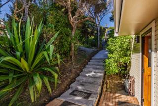 Paua Shell - Coopers Beach Holiday Home - 6