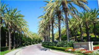 Ritz Pointe Paradise! - 8